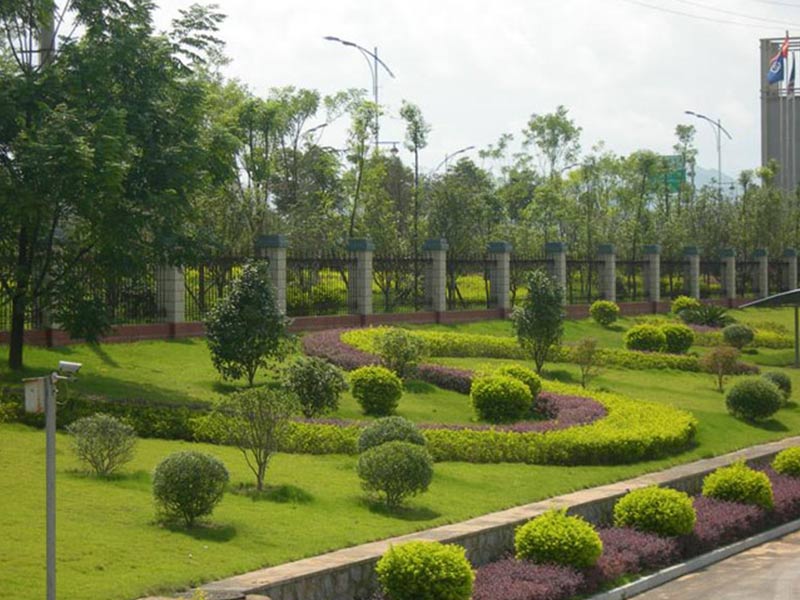 無錫綠化養(yǎng)護(hù) 無錫綠化養(yǎng)護(hù)