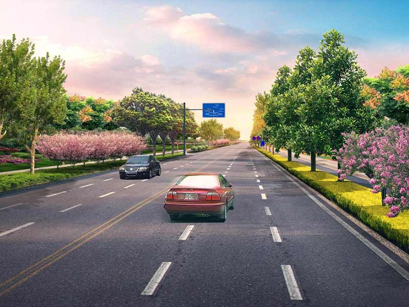 無錫綠化養(yǎng)護 無錫綠化養(yǎng)護