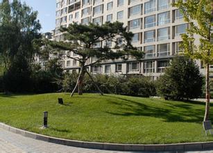 無錫廠區(qū)綠化養(yǎng)護 無錫廠區(qū)綠化養(yǎng)護