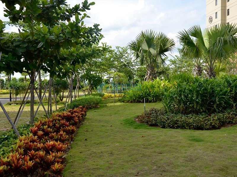 無錫綠化養(yǎng)護(hù)工程 無錫綠化養(yǎng)護(hù)工程