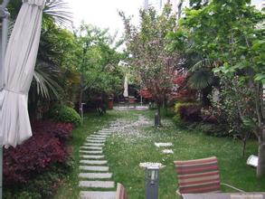 無錫綠化養(yǎng)護工程 無錫綠化養(yǎng)護工程