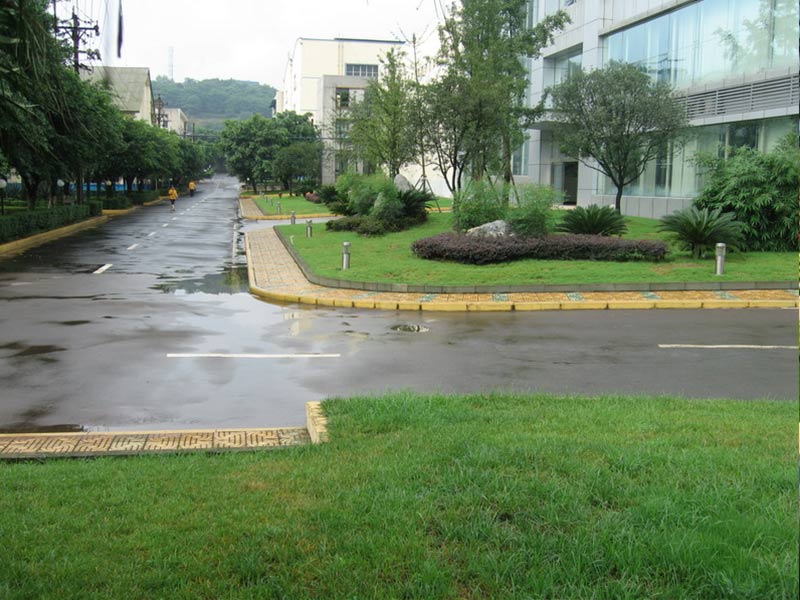 廠區(qū)綠化.jpg 廠區(qū)綠化.jpg