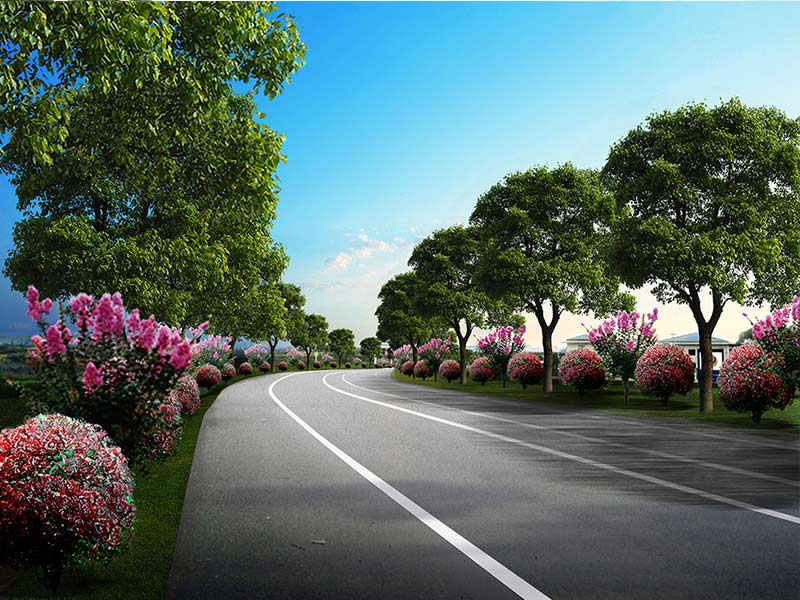 公路綠化養(yǎng)護(hù).jpg 公路綠化養(yǎng)護(hù).jpg