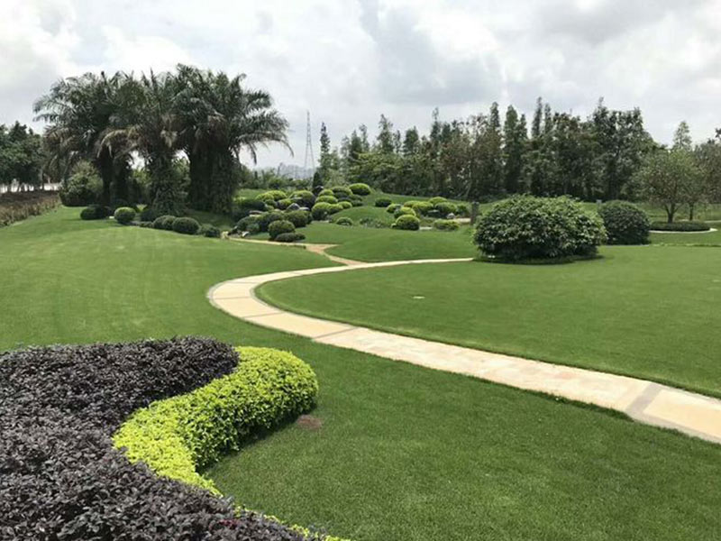 無錫廠區(qū)綠化養(yǎng)護(hù).jpg 無錫廠區(qū)綠化養(yǎng)護(hù).jpg